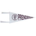 Small Wall Pennant